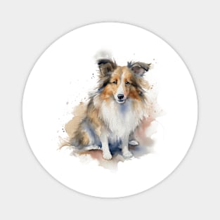 Shetland Sheepdog Watercolor Style Magnet